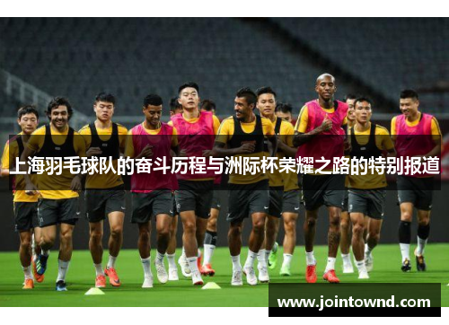 上海羽毛球队的奋斗历程与洲际杯荣耀之路的特别报道